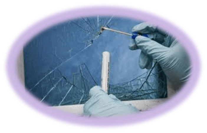 Physical Evidence | Forensic Science Notes Part-2